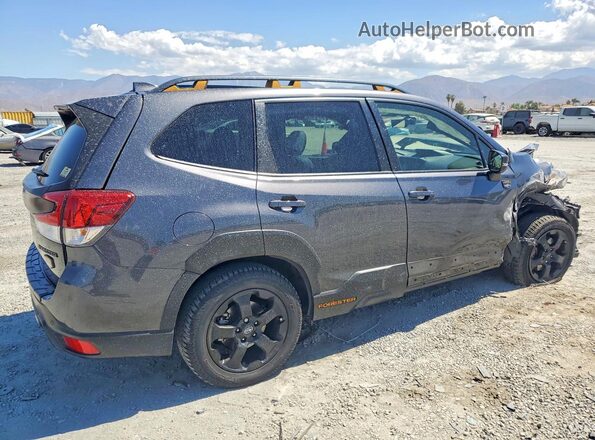 JF2SKAMC0PH492703 2023 SUBARU FORESTER Charcoal Հետևի աջ