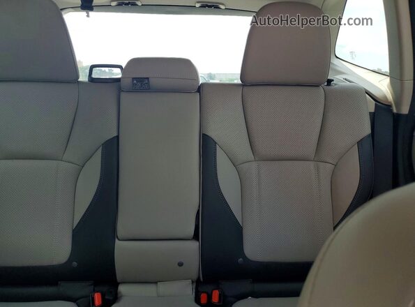 JF2SKAPC7PH461007 2023 SUBARU FORESTER Gray Հետևի նստատեղերի տեսք