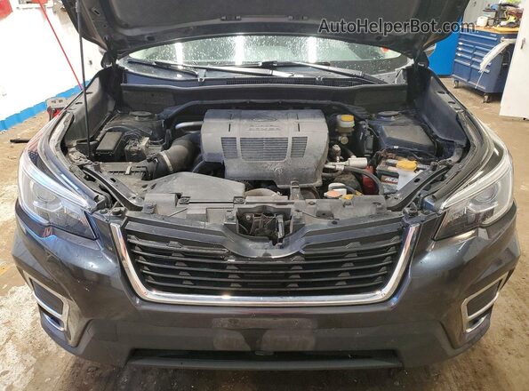 JF2SKASC2KH483156 2019 SUBARU FORESTER Gray Vista del compartimento del motor