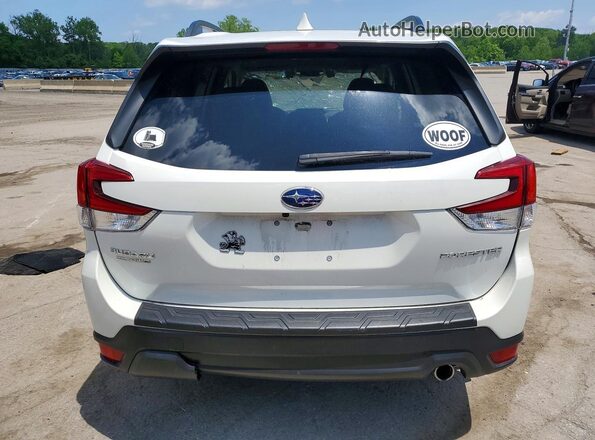JF2SKASC2KH523879 2019 SUBARU FORESTER White Rear view