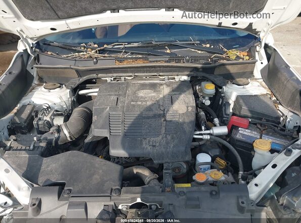 JF2SKAXC3LH560210 2020 SUBARU FORESTER White Widok z tyłu