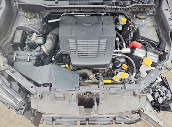JF2SKAXC9MH449923 2021 SUBARU FORESTER Серый Вид задней части салона