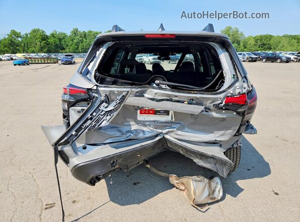 JF2SLDDC6SH591405 2025 SUBARU FORESTER Silver Rear view