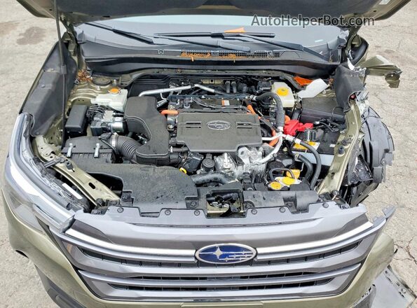 JF2SLSED8SH451741 2025 SUBARU FORESTER Зеленый Вид задней части салона