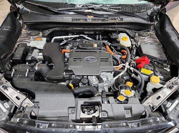 JF2SLSTD3SH427804 2025 SUBARU FORESTER Коричневый Вид задней части салона
