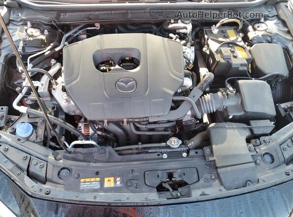 JM1BPAAM0S1781532 2025 MAZDA 3 Black Rear interior view