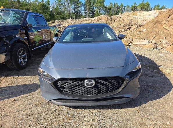 JM1BPALM3K1146477 2019 MAZDA 3 Gray Widok z przodu