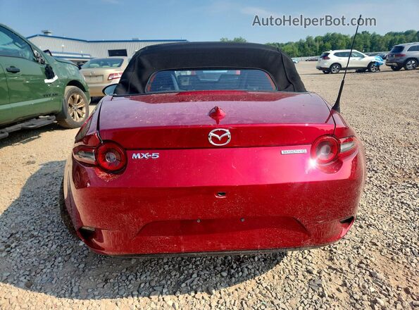 JM1NDAD73R0604730 2024 MAZDA MX-5 Red Widok z tyłu