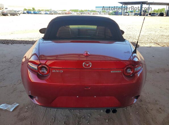 JM1NDAD73R0608163 2024 MAZDA MX-5 Темно-бордовый Вид сзади