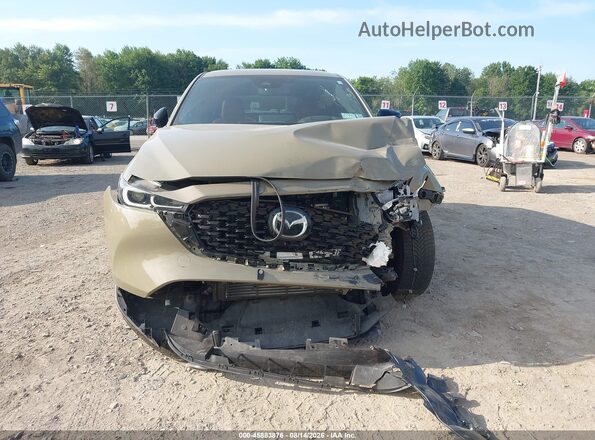 JM3KFBAY3R0368121 2024 MAZDA CX-5 Green Vista interior trasera