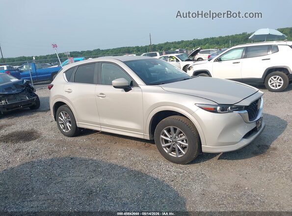 JM3KFBBL0R0487229 2024 MAZDA CX-5 Beige Սալոնի հետևի տեսք