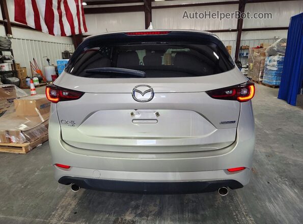 JM3KFBBL0S0681233 2025 MAZDA CX-5 Silver Rear view