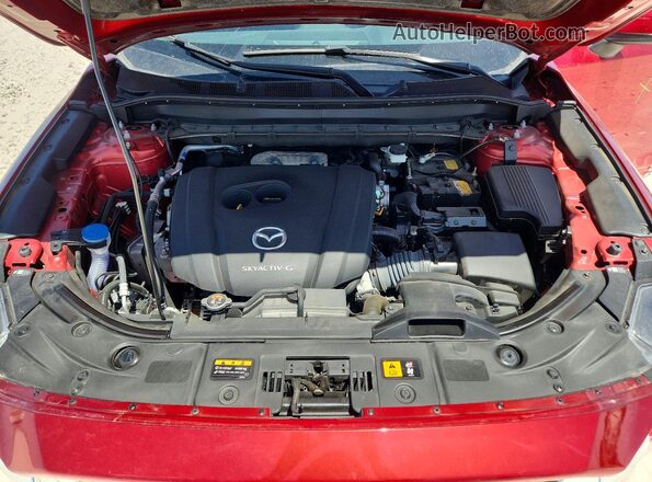 JM3KFBBM9P0215882 2023 MAZDA CX-5 Красный Вид задней части салона