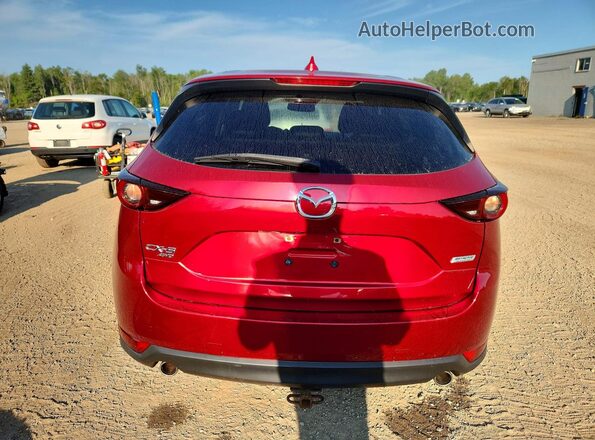 JM3KFBCL4H0181356 2017 MAZDA CX-5 Red Widok z tyłu