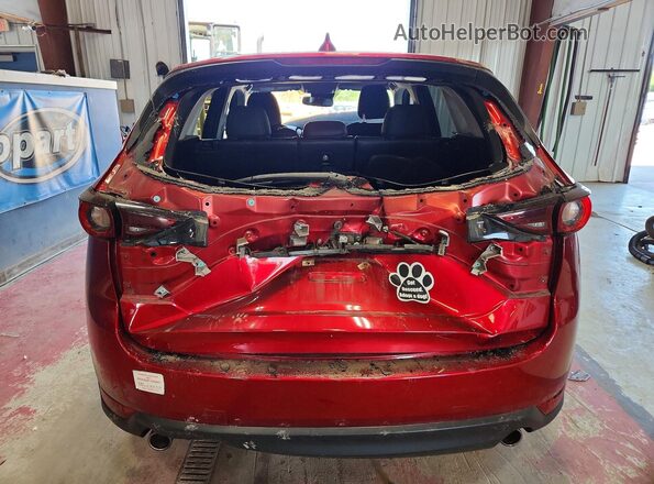 JM3KFBCM0K0618821 2019 MAZDA CX-5 Красный Вид сзади