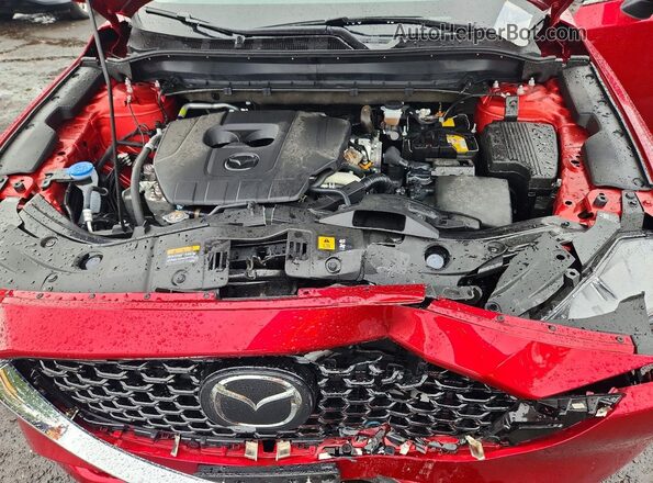 JM3KFBCM9S0778969 2025 MAZDA CX-5 Red Vista interior trasera