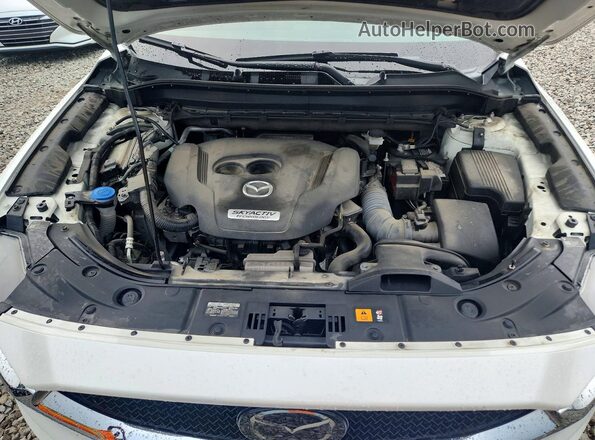 JM3KFBDY6K0571487 2019 MAZDA CX-5 Белый Вид задней части салона