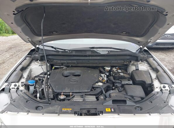 JM3KFBEM5R0401806 2024 MAZDA CX-5 Dark Brown Widok z tyłu