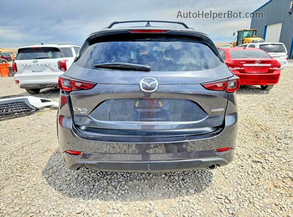 JM3KFBEMXS0538956 2025 MAZDA CX-5 Gray Widok z tyłu