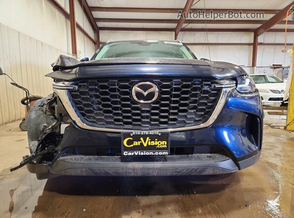 JM3KKAHD9R1166192 2024 MAZDA CX-90 Синий Вид спереди