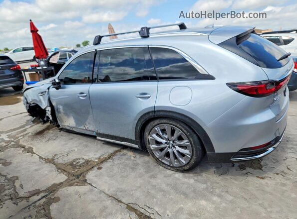 JM3KKEHD1S1236975 2025 MAZDA CX-90 Silver უკანა მარცხენა