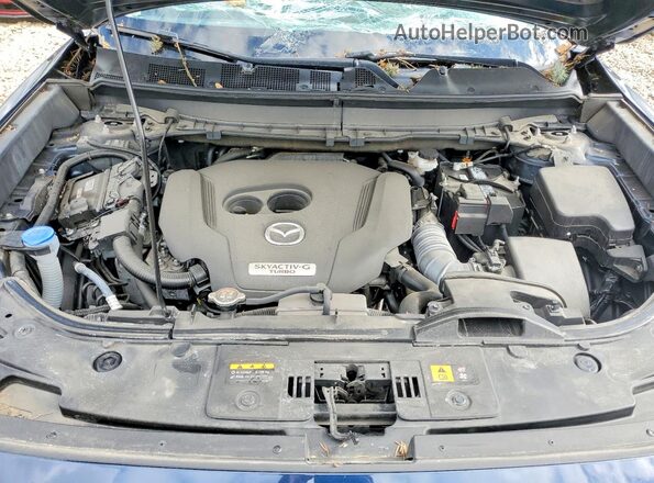 JM3TCBAYXN0624536 2022 MAZDA CX-9 Blue Vista interior trasera