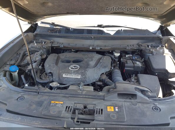 JM3TCBDY3H0133709 2017 MAZDA CX-9 Серый Вид сзади