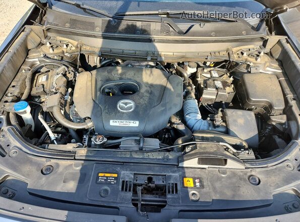 JM3TCBEY3M0520463 2021 MAZDA CX-9 Серый Вид задней части салона