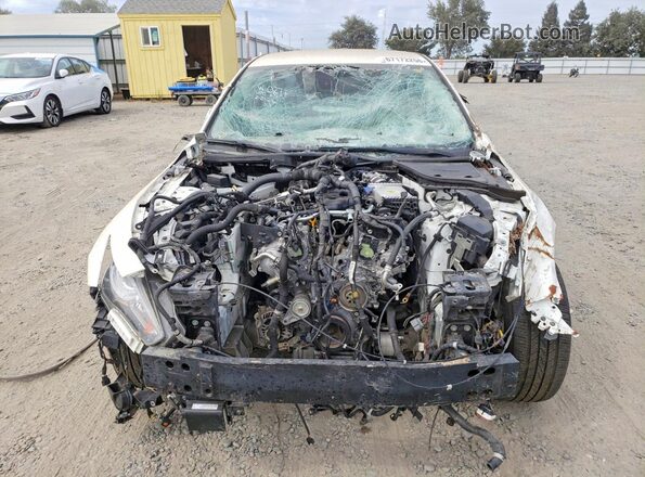 JN1EV7AP1MM701756 2021 INFINITI Q50 White Շարժիչի բաժամունքի տեսք
