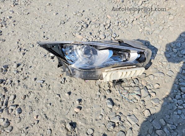 JN1EV7AR0LM250433 2020 INFINITI Q50 Black Engine compartment view