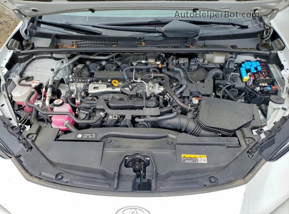 JTDADABU5P3001491 2023 TOYOTA PRIUS Белый Вид задней части салона