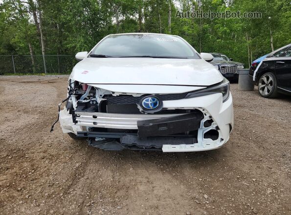 JTDBDMHE1R3010567 2024 TOYOTA COROLLA White Դիմացի տեսք
