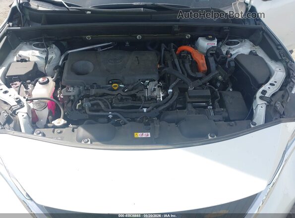JTEAAAAH0MJ049786 2021 TOYOTA VENZA White Rear view