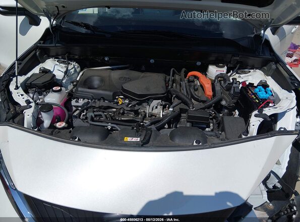 JTEAAAAH4MJ011056 2021 TOYOTA VENZA White უკანა ხედი