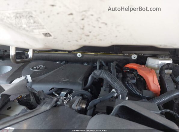 JTEAAAAH4RJ163622 2024 TOYOTA VENZA Белый Вид сзади