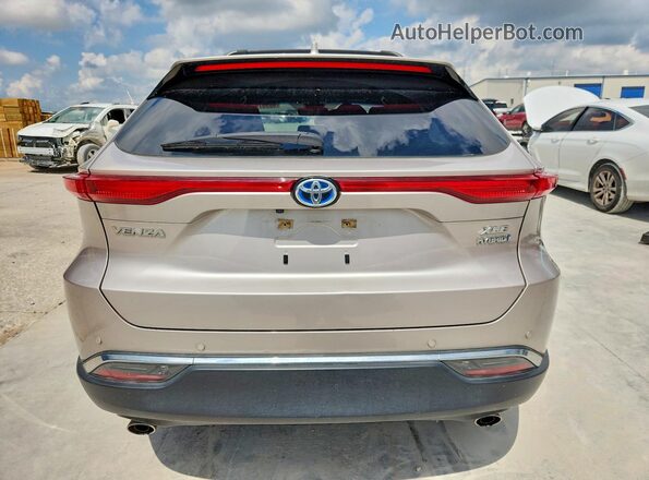 JTEAAAAH8MJ071695 2021 TOYOTA VENZA Silver უკანა ხედი