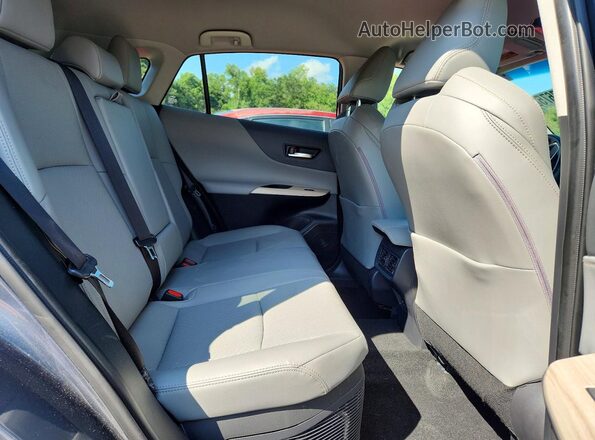 JTEAAAAH9PJ149003 2023 TOYOTA VENZA Blue Vista interior trasera