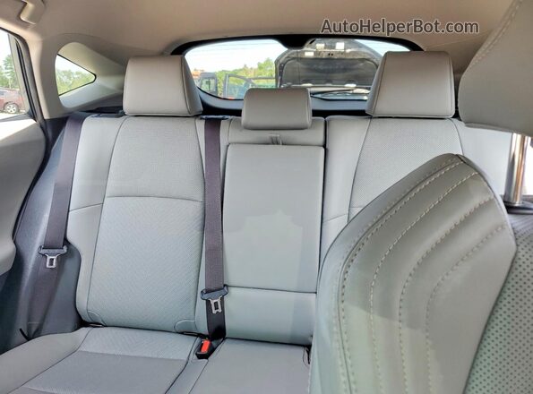 JTEAAAAHXMJ040299 2021 TOYOTA VENZA Серый Вид задних сидений
