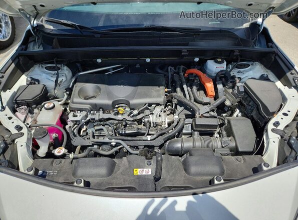 JTEAAAAHXMJ050489 2021 TOYOTA VENZA White Вид задньої частини салону
