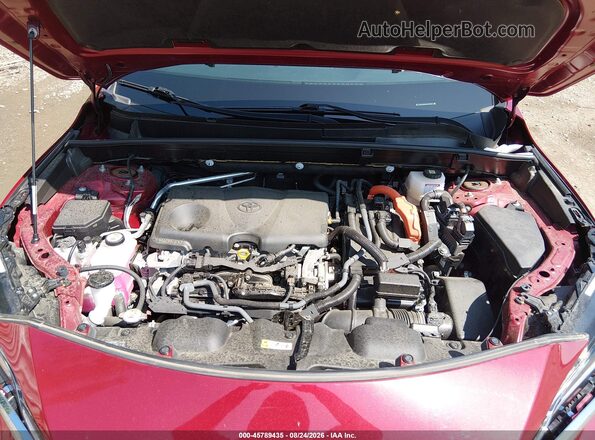 JTEAAAAHXMJ076557 2021 TOYOTA VENZA Красный Вид сзади