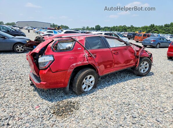 JTEBU5JR3K5647453 2019 TOYOTA 4RUNNER Красный Задняя правая четверть