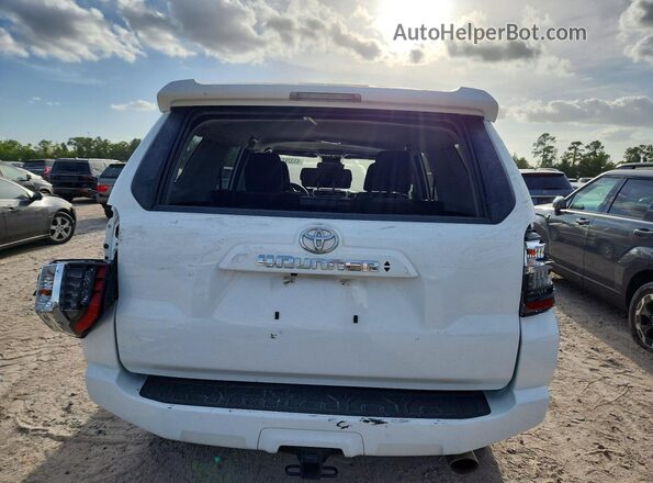 JTEEU5JRXP5285240 2023 TOYOTA 4RUNNER Белый Вид сзади