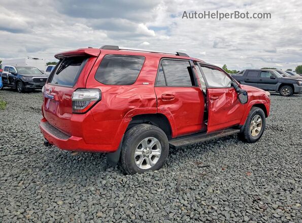 JTEMU5JR1M5905660 2021 TOYOTA 4RUNNER Красный Задняя правая четверть