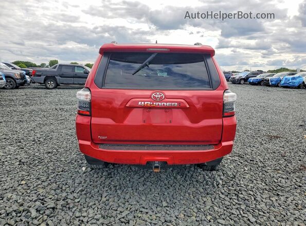 JTEMU5JR1M5905660 2021 TOYOTA 4RUNNER Красный Вид сзади