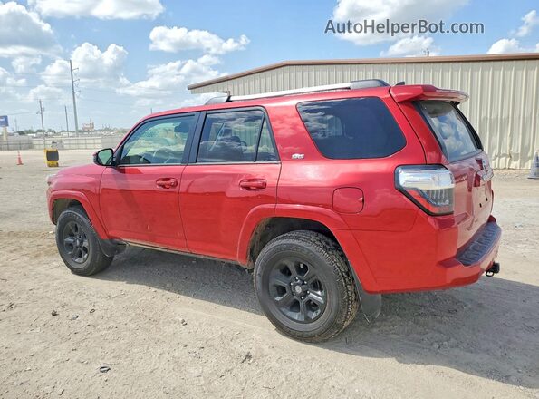 JTEMU5JR4R6281838 2024 TOYOTA 4RUNNER Красный Задняя левая четверть