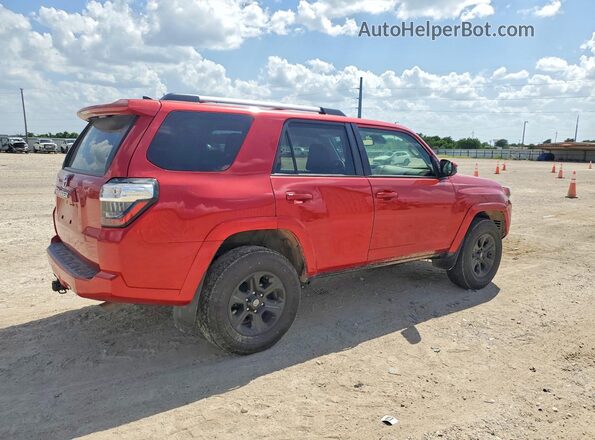 JTEMU5JR4R6281838 2024 TOYOTA 4RUNNER Красный Задняя правая четверть
