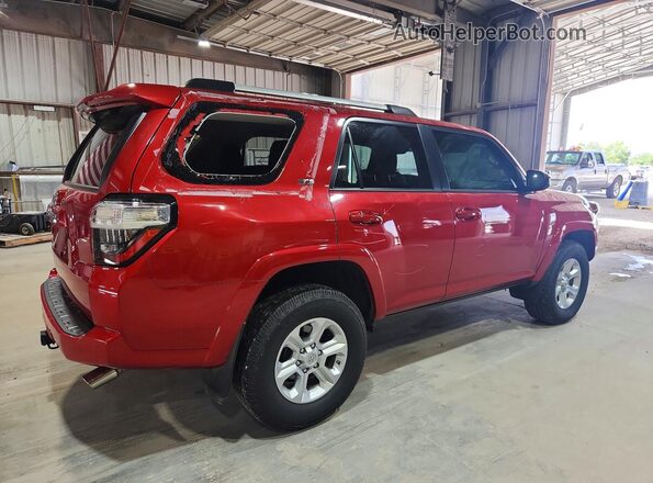 JTEMU5JR7M5878240 2021 TOYOTA 4RUNNER Red უკანა მარჯვენა