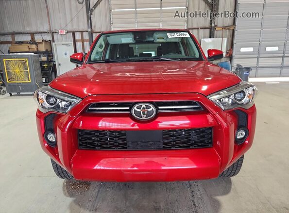 JTEMU5JR7M5878240 2021 TOYOTA 4RUNNER Red წინა ხედი