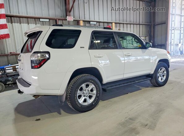 JTENU5JR0R6269366 2024 TOYOTA 4RUNNER Белый Задняя правая четверть