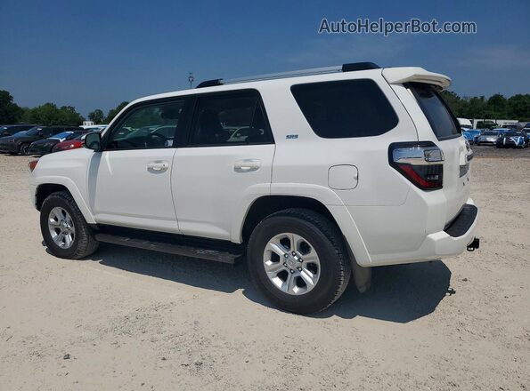JTENU5JR0R6269366 2024 TOYOTA 4RUNNER Белый Задняя левая четверть